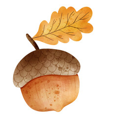 acorn  © ChonnieArtwork 