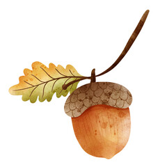 acorn © ChonnieArtwork 