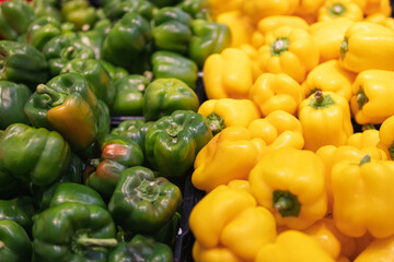Plakat lettuce pepper yellow and green color, in the supermarket for sale. Pepper beautifully laid out on the counter. The concept of healthy eating and veganism.