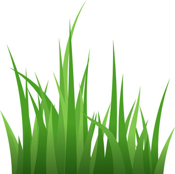 Green grass blades. Fresh summer plants. Eco symbol