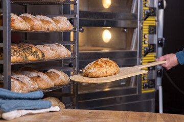 Baker carrying a tray of freshly baked bread