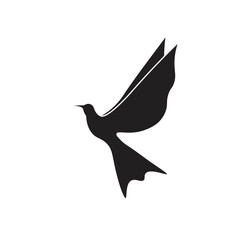 Bird Logo Icon and Symbol Illustration