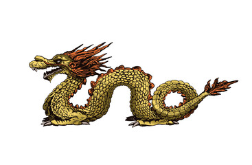 Naklejka premium Graphical golden Chinese dragon isolated on white background,vector color illustration 