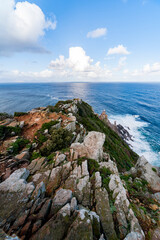 Cape Point the southeast corner of the Cape Peninsula, close to Cape Point Lighthouse, Cape town, South Africa