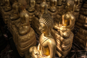 Fototapeta premium Hundreds of golden Buddha images alongside religious structures and site at Sinxayaram Temple in Feuang district of Vientiane in Laos