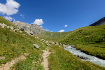 Fototapeta na wymiar Woman trekking in a valley near a river in the French Alps, France, Europe