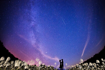 Fototapeta na wymiar 秋の星空の下、ススキが風に揺れる高原でキスするカップルのシルエット。