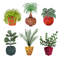 hand drawn watercolor houseplant clipart set