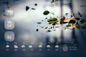 Multiexposure of weather forecast interface and fallen leaves in a puddle after hard rain fall.
