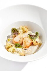 Delicious creamy risotto with sea scallop and cauliflower. Elegant main course with seafood on white plate. Grilled scallop with cauliflower and creamy rice. Seafood risotto with scallops