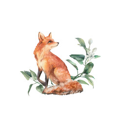 Watercolor fox illustration isolated on white background. Woodland animal and floral elements