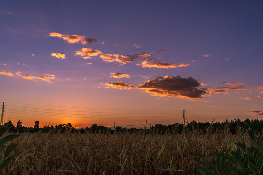 Sunset over a cornfield on the outskirts of a city in Italy, the sky at sunset, the background image of the evening sky at sunset on a summer day