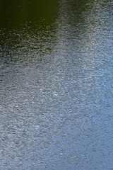 wasseroberfläche