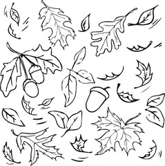 Set of leaves and twigs doodle