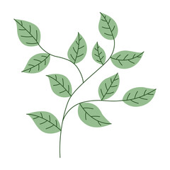 Tropical leaf icon.