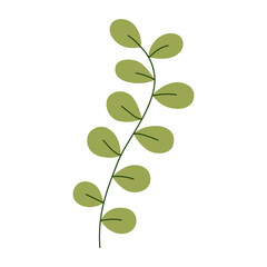 Fototapeta premium Tropical leaf icon.