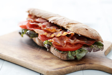 Tasty Sandwich on white background