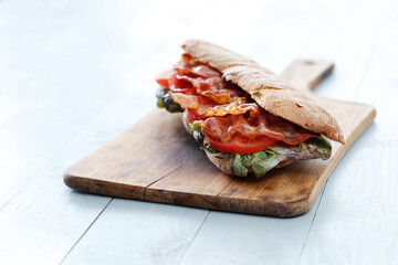 Tasty Sandwich on white background