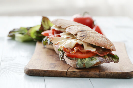 Tasty Sandwich on white background