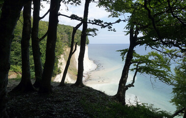 Kreidekueste bei Sassnitz auf Ruegen