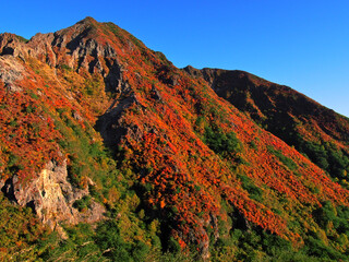 鮮やかに紅葉した火山 (栃木県・那須 朝日岳)