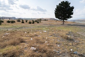 Plastic bags and bottles cause pollution of environment in wild rural area. Rubbish scattered on...