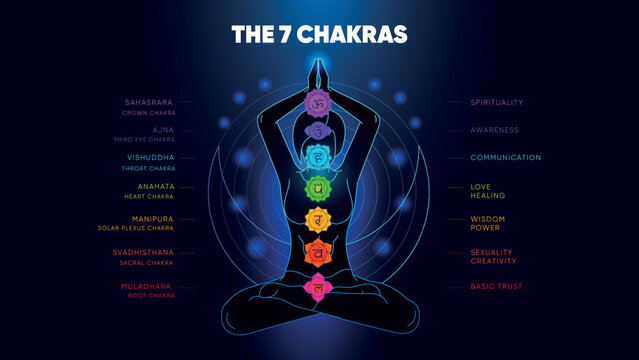 The 7 Chakras and Meanings Vector Illustration
