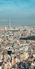 Tokyo skyline, Japan. Wonderful aerial view of city hi-rise skyscrapers