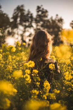 Ragazza pensierosa in campo di fiori al tramonto - Pensieri - concept