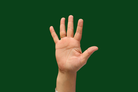 team building, hands for advertisement and product mockup, different gestures 