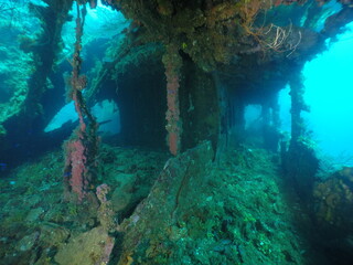 Famous wreck ship Fujikawa maru in Truk lagoon.