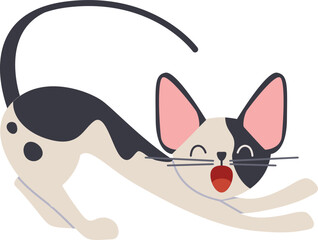 Cat yawning. Happy stretching pet. Waking up animal