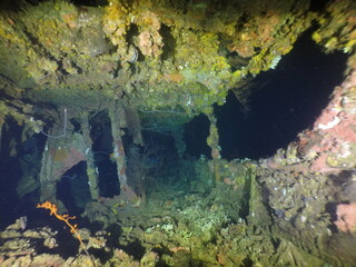 Famous wreck ship Fujikawa maru in Truk lagoon.