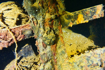 Famous wreck ship Fujikawa maru in Truk lagoon.