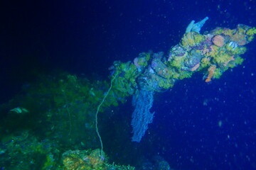Famous wreck ship Fujikawa maru in Truk lagoon.