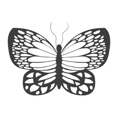 One abstract black silhouette of a cute butterfly isolated on white background