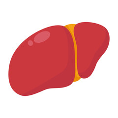 Human liver anatomy icon. flat cartoon style. bright and cute.