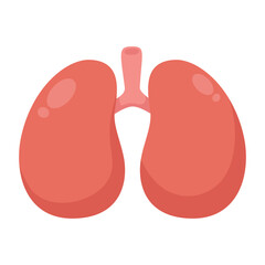 Human Lungs anatomy icon. flat cartoon style. bright and cute.