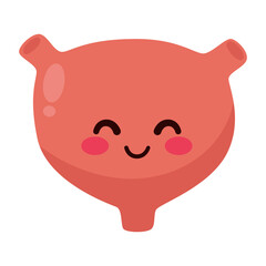 cute and funny Human bladder anatomy icon. flat cartoon characters style. bright and cute.