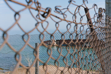 Blurred metal rusty grate fence near a sea coastline and sunken ship is in focus. Nature. Cell....