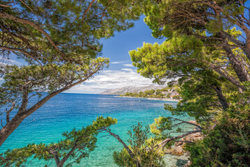 Fototapeta na wymiar View of Croatian coast with pine trees in Brela, Makarska, Dalmatia, Croatia