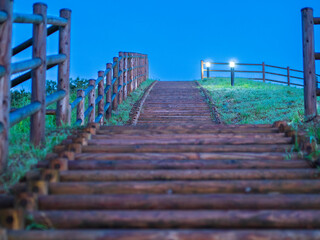 Fototapeta premium 夜明けの階段