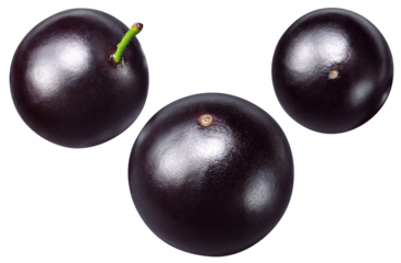 conjunto de jaboticabas em fundo branco em fundo branco