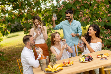 Group of happy young people cheering with fresh lemonade and eating fruits in the garden