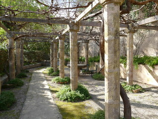 Naklejka premium Shady grove on La Granja estate, Mallorca, Balearic Islands, Spain