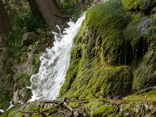 Waterfall at La Granja estate, Mallorca, Balearic Islands, Spain