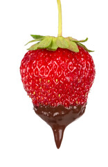 Strawberries with chocolate dipping isolated on white. Chocolate dripping from strawberries. Beautiful red berry.