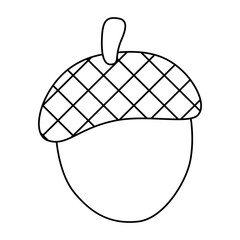 Acorn oak fruit simple black line icon