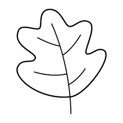 Maple leaf line icon