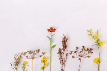 Autumn composition. Frame of autumn flowers, leaves of rowan berries on a stone background. Fall, thanksgiving concept. Flat lay, top view